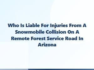 Snowmobile Accident Liability on Forest Roads
