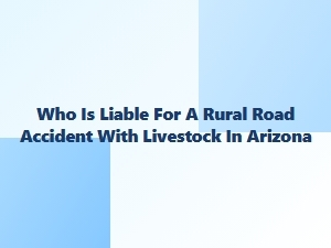 Livestock Accidents on Arizona Rural Roads